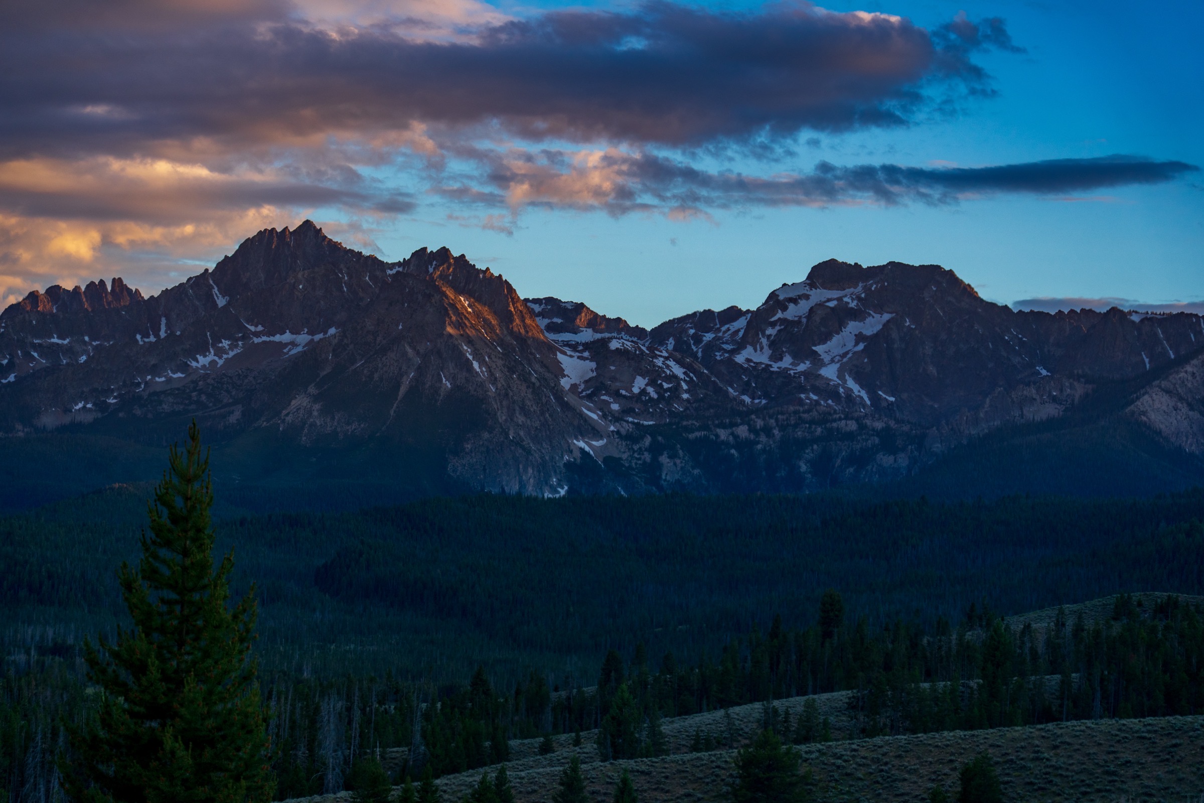 Alpenglow on the Sawtooth Range above a dark pine forest at dusk, Idaho